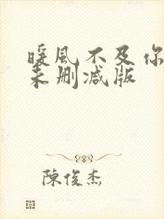 暖风不及你情深未删减版