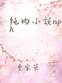 纯肉小说np高h