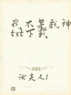 我不是戏神全集txt下载