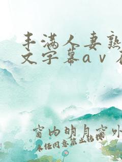 丰满人妻熟女中文字幕aⅴ在线