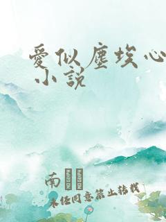 爱似尘埃心似水 小说