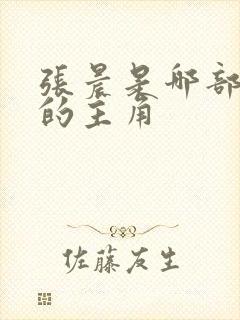 张晨是哪部小说的主角