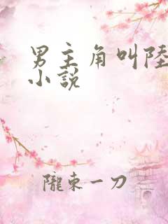 男主角叫陆鸣的小说