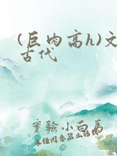 (巨肉高h)文古代