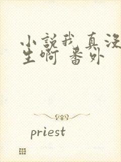 小说我真没想重生啊 番外