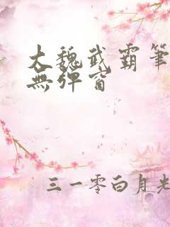 大魏武霸笔趣阁无弹窗