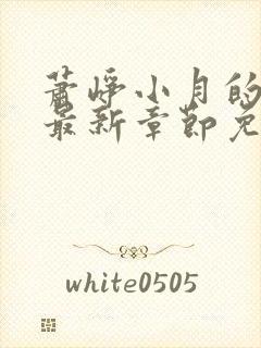 萧峥小月的小说最新章节免费阅读全文