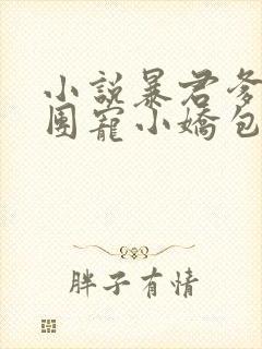 小说暴君爹爹的团宠小娇包免费阅读