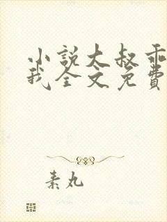 小说大叔乖乖宠我全文免费阅读