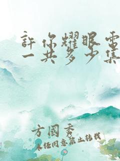 许你耀眼电视剧一共多少集啊