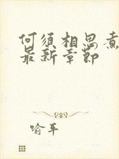 何须相思煮余年最新章节