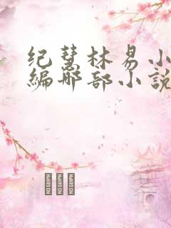 纪慧林易小说改编哪部小说