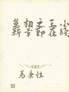 万相之王小说最新章节在线