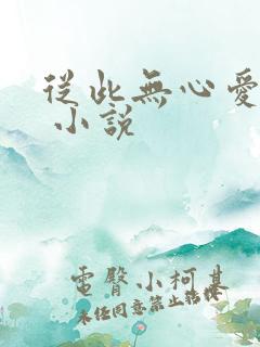 从此无心爱良夜 小说