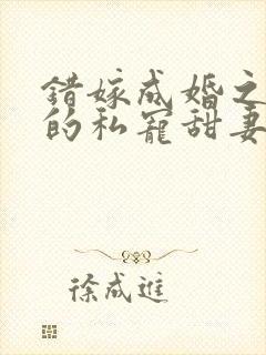 错嫁成婚之总裁的私宠甜妻