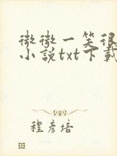 微微一笑很倾城小说txt下载