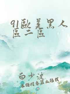 91欧美黑人一区二区
