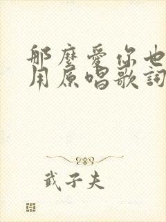 那么爱你也没有用原唱歌词