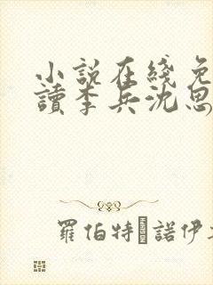 小说在线免费阅读李兵沈思