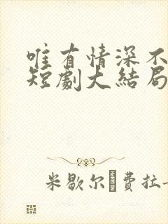 唯有情深不可负短剧大结局