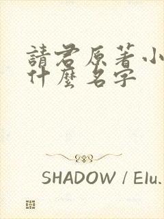 请君原著小说叫什么名字