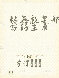 林无敌是哪部小说的主角