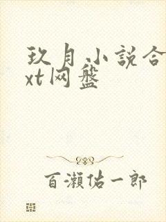 玖月小说合集txt网盘