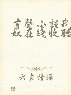 有声小说我妻如奴在线收听