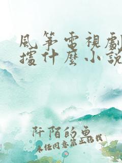 风筝电视剧是根据什么小说改编的