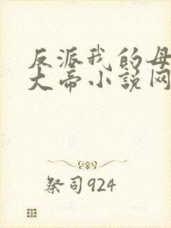 反派我的母亲是大帝小说网
