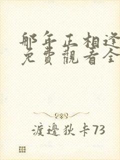 那年正相逢短剧免费观看全集