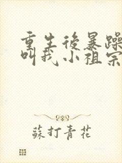 重生后暴躁大佬叫我小祖宗最txt下载