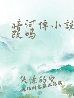 暗河传小说是耽改吗