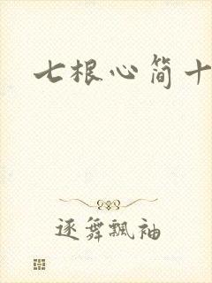 七根心简十三集