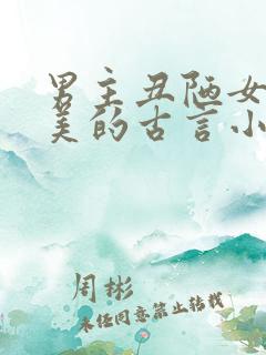 男主丑陋女主貌美的古言小说