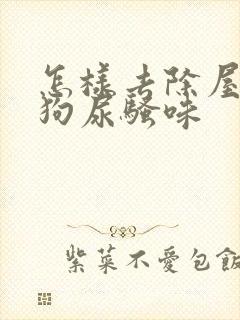 怎样去除屋里的狗尿骚味