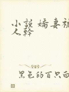 小说 娇妻被黑人干