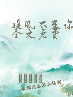 暖风不及你深情全文免费