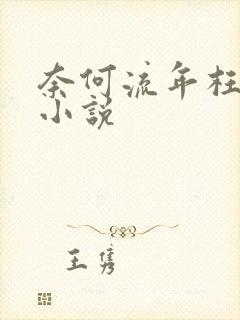 奈何流年枉情深小说