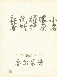 许我耀眼小说原著叫什么名字