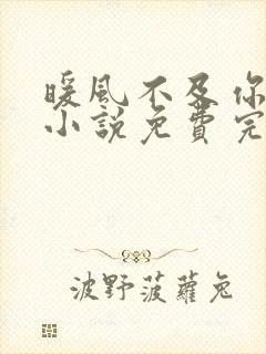 暖风不及你情深小说免费完本