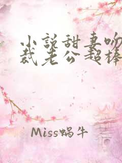 小说甜妻吻安总裁老公超棒的