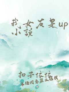 我女友是up主小说