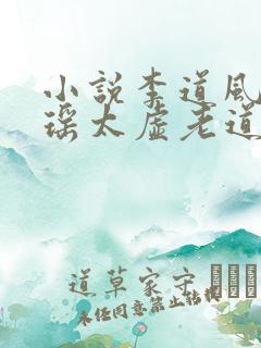 小说李道风江雪瑶太虚老道是哪个小说