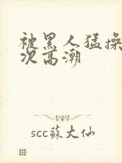 被黑人猛操12次高潮