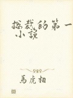 总裁的第一宠妻 小说