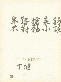 半路抢来的夫君不对劲小说免费阅读