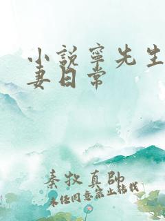 小说宁先生的宠妻日常