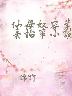 仙母奴容叶无澜秦怡宁小说正版阅读