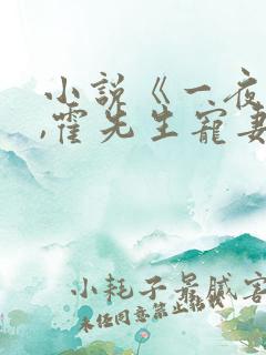 小说《一夜情深,霍先生宠妻无度》